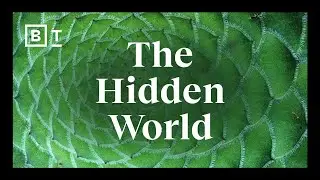 A mind-blowing explanation of symmetry | Frank Wilczek for Big Think