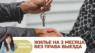 Ирландия затягивает гайки для украинцев? Важные изменения.