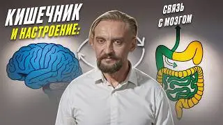 КИШЕЧНИК И МОЗГ: КАК МИКРОБЫ ВЛИЯЮТ НА НАСТРОЕНИЕ, СЧАСТЬЕ И СТРЕСС?