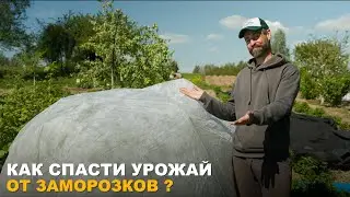 ЭТОЙ ВЕСНОЙ ПРОПАДЕТ ВЕСЬ УРОЖАЙ? Как спасти свой огород и сад от заморозков?