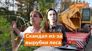 Скандал в поселке Березовка: под Казанью рубят лес под новый ЖК