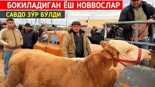 БОКИЛАДИГАН ЁШ НОВВОСЛАР ХОРАЗМ БОГОТ МОЛ БОЗОРИ !!! ХОРАЗМ БОЗОР