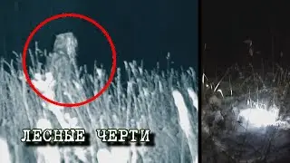 СТРАШНЫЙ МОНСТР ЧЁРТ НАПАЛ НА ЛЮДЕЙ! СНЯТО ВСЕ НА КАМЕРУ УЖАСЫ!!!