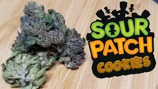 Zour Patch Cookies Strain Review