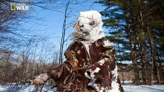 National Geographic - Secrets of the Greatest Snow on Earth - New Documentary HD 2018