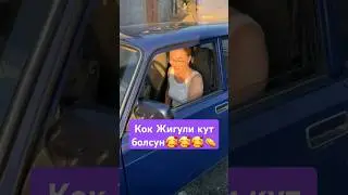 Амир&Адина 