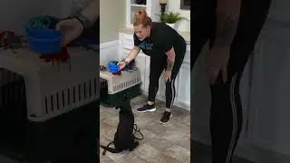 Puppy Training WIN You Should Get EVERY Morning!