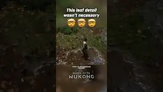 Unnecessary amount of detail (Black Myth Wukong)