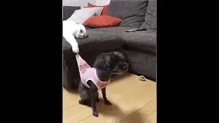 Все тлен