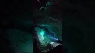 Underwater world