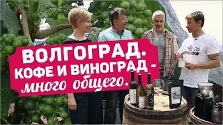 #7 Ведро кофе. Волгоград