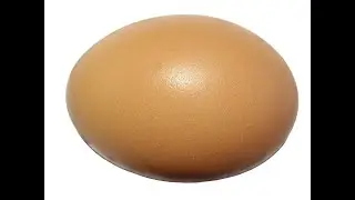 Egg.