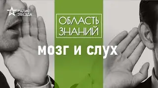 Как мы слышим звуки и почему некоторая музыка вызывает отвращение? Лекция Вячеслава Дубынина