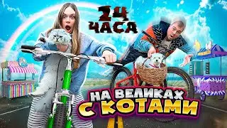 24 ЧАСА НА ВЕЛОСИПЕДАХ С КОТОМ И СОБАКОЙ