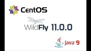 WildFly 11 and Oracle JDK 9 in CentOS 7 (Java 9)