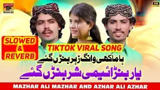 Makhi Wang Zahr Ban Gaye (Slowed & Reverb) | Yaar Banaemi Shar Ban Gaye | New TikTok Viral Song 2024