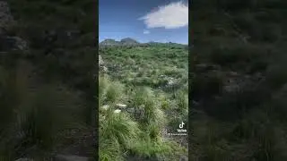 Вітряний день