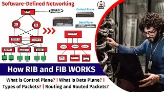 2. Software-Defined Networking | Separation Of Control Plane and Data Plane | RIP and FIB Tables