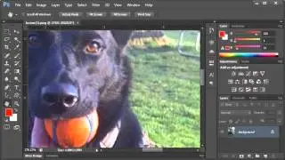 Adobe Photoshop - Moving Around Your Images (Scrolling)