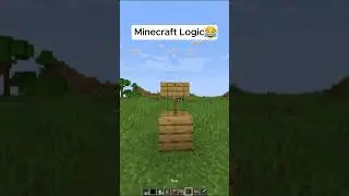 Minecraft Logic is insane🤣 #shorts