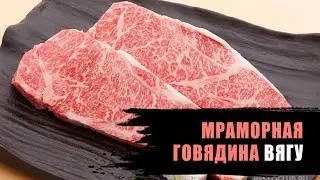 Настоящая японская мраморная говядина ВАГЮ