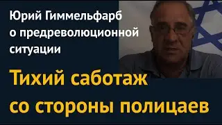 Раскол элит и белый слон путинизма. Юрий Гиммельфарб о предреволюционной ситуации