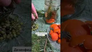 Мандариновые корки не выбрасываем👌😉 Средство для уборки и дезинфекции…