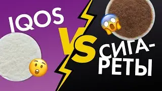 IQOS vs Сигареты: что вреднее? | Эксперимент