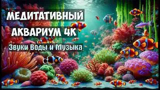 Медитативный Аквариум в 4K: Красочные Виды и Звуки для Расслабления