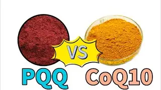 PQQ vs. CoQ10: A Scientific Comparison | PQQ disodium salt PQQ powder manufacturer & supplier