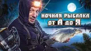 НОЧНАЯ рыбалка. От А до Я. Пособие рыболова и как Я ловлю Фидером на РЕКЕ, делюсь секретами! Часть 1