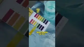 Тест щелочной среды лакмусовыми бумажками! 