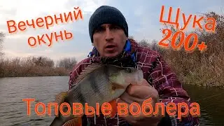 Вечерние окуня. Хотел уже уезжать. Троллинг с крутыми крэнками.