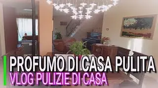 VLOG PROFUMO DI CASA PULITA, PULIZIA ORGANIZZAZIONE, MARLINDA CANONICO