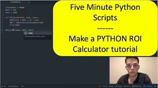 Simple ROI Python Calculator - Five Minute Python Scripts - Full Code Along Walkthrough