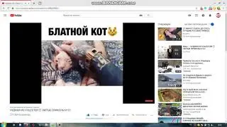 КАНАЛ  BLONDINKA