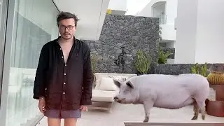 живём как свиньи. рум тур