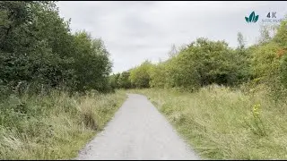 An untraveled gravel path