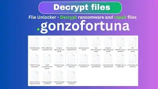 Ransomware Got You Down? Learn How to Decrypt and Restore Your Files Now .gonzofortuna