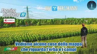 FS 22 Hof Bergmann Vediamo alcune cose della mappa che riguarda l'erba e i campi