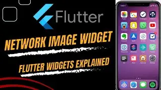 flutter network image || how to use network image in flutter || flutter image widget Urdu/Hindi