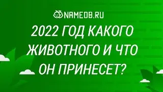 2022 Год какого животного и что он принесет?