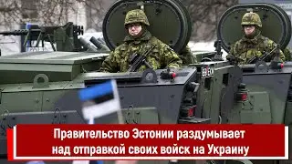 Правительство Эстонии раздумывает над отправкой своих войск на Украину