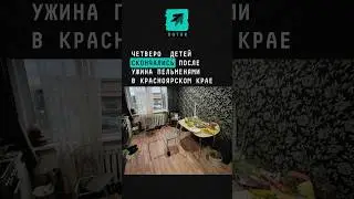 Четверо детей скончались после ужина пельменями в Красноярском крае 