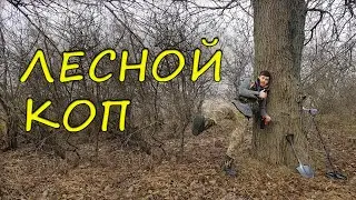 Коп в лесу Находки с металлоискателем коп 2020