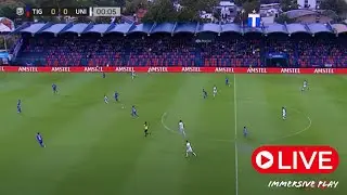 🚨 TIGRE vs UNION en Vivo | Liga Profesional Argentina 2024