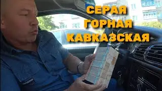 СЕРАЯ ГОРНАЯ КАВКАЗСКАЯ в хозяйстве у ДЕРЕВЕНЩИНЫ !!!