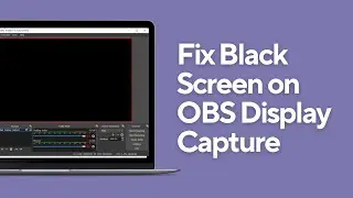 FIX OBS Black Screen 2024 |OBS Game Capture/Display Capture FIX (Windows 10/11)