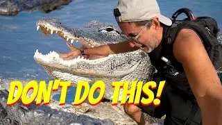 5 Things You Should Never Do in Florida LIVE Chat Beachwalk Delray Beach