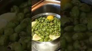 Sicilian OLIVES marinated in London. #cookingwithfrancoandmarta##sicilianolives# olives#sicily#